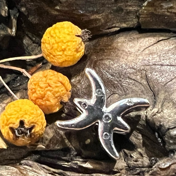 Authentic Pandora Charm Sparkling Pisces Zodiac Sign Bead Silver Clear Zirconias - Picture 5 of 6